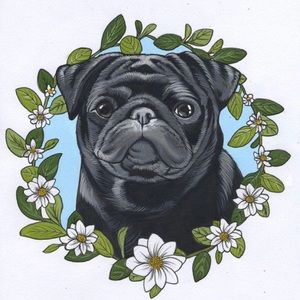 Meet your Posher, Jean